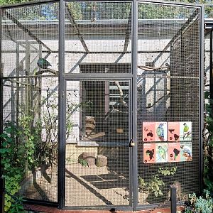 Bird & Reptile House - Aviary 3