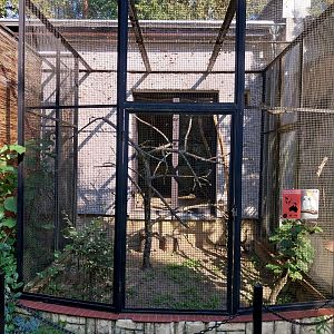 Bird & Reptile House - Aviary 4
