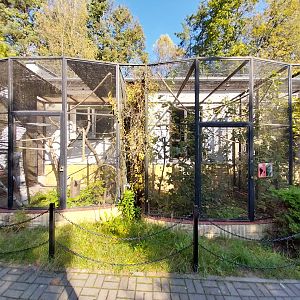 Bird & Reptile House - Aviary 5