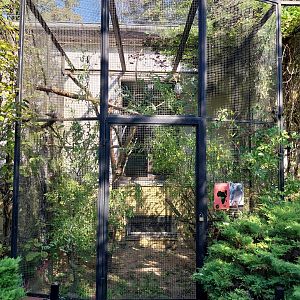 Bird & Reptile House - Aviary 6