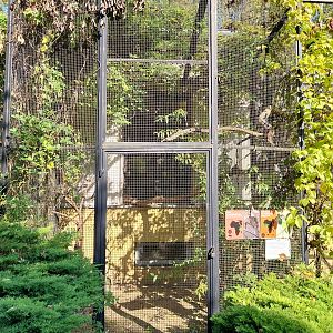 Bird & Reptile House - Aviary 7