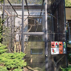 Bird & Reptile House - Aviary 9