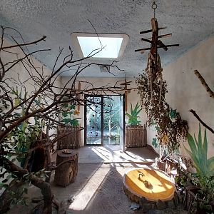 Bird & Reptile House - Left wing - Aviary 1