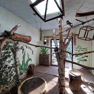 Bird & Reptile House - Left wing - Aviary 2
