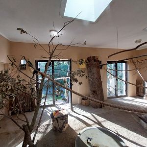 Bird & Reptile House - Left wing - Aviary 3