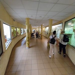 Bird & Reptile House - Middle wing