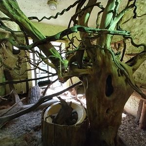 Bird & Reptile House - Middle wing - Aviary 1