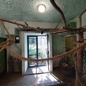 Bird & Reptile House - Middle wing - Aviary 2