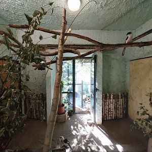 Bird & Reptile House - Middle wing - Aviary 3