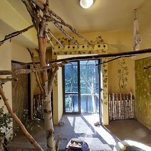 Bird & Reptile House - Middle wing - Aviary 4