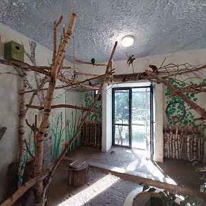 Bird & Reptile House - Middle wing - Aviary 5