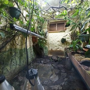 Bird & Reptile House - Middle wing - Terrarium 1