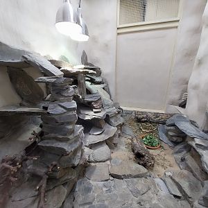 Bird & Reptile House - Middle wing - Terrarium 2