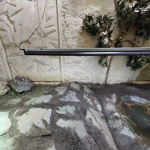 Bird & Reptile House - Middle wing - Terrarium 5+6