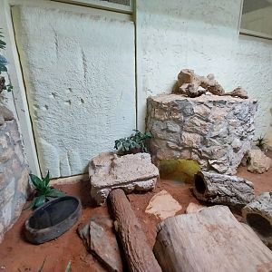 Bird & Reptile House - Middle wing - Terrarium 7+8