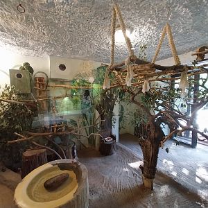 Bird & Reptile House - Right wing - Aviary 1