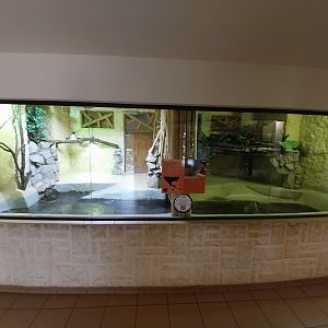 Bird & Reptile House - Right wing - Terrarium