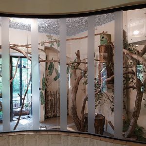 Bird & Reptile House - Right wing - Aviary 2