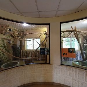 Bird & Reptile House - Right wing - Aviary 4