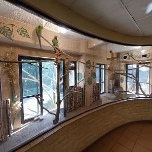 Bird & Reptile House - Right wing - Aviary 3