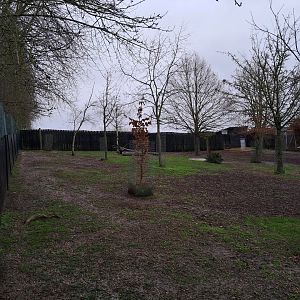 Island Dwellers paddock- 5/1/2025