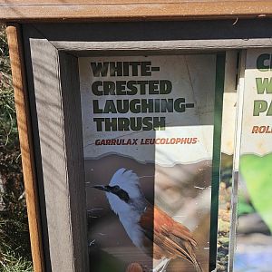 New bird means a new sign