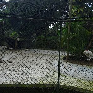 Zoológico Nacional de Nicaragua: Jabiru aviary