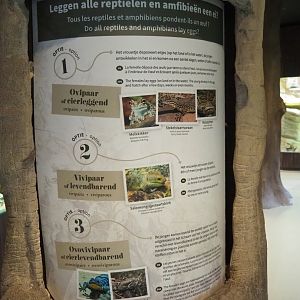 Reptile reproduction signage, 2023-07-22