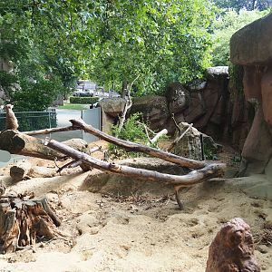 Meerkat exhibit, 2023-07-22