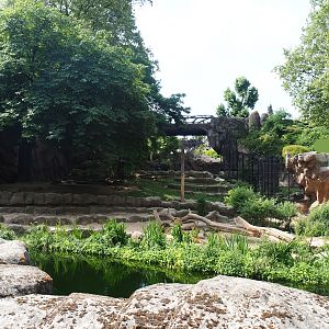 African lion exhibit, 2023-07-22