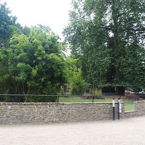Mountain bongo and Kirk's dik-dik exhibit, 2023-07-22