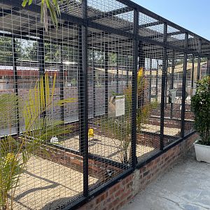 Pheasant Enclosures