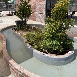 Lake under construction (plans to exhibit turtles and fishes)