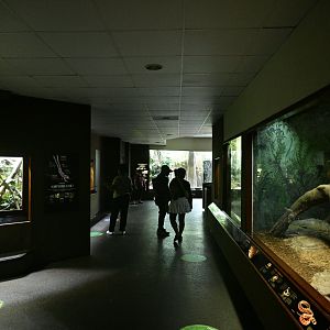 World of Reptiles - Interior