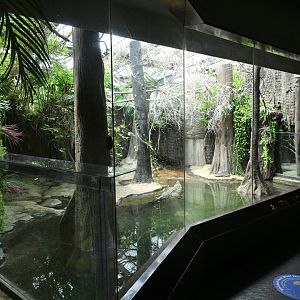 World of Reptiles - Crocodile Exhibits