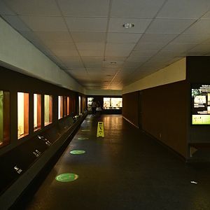 World of Reptiles - Interior