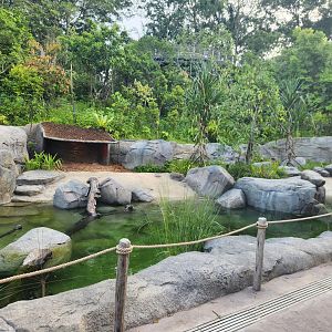 Rainforest Wild Asia- Entrance Gorge