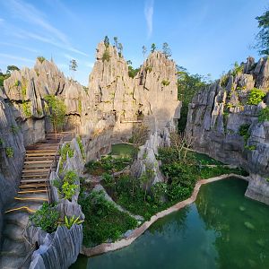 Rainforest Wild Asia- The Karsts