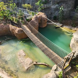 Rainforest Wild Asia- Watering Hole