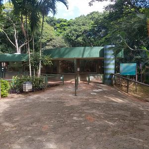 Reptile House - Belo Horizonte zoo