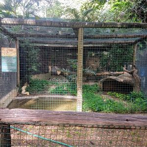 Burmese python exhibit - Belo Horizonte zoo
