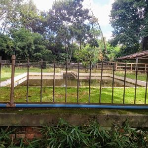 Common hippopotamus exhibit 1 - Belo Horizonte zoo