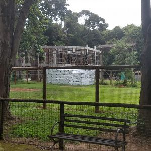 Giraffe paddock under construction - Belo Horizonte zoo