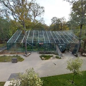 Northern Lynx (left) and Siberian Wildcat (right)