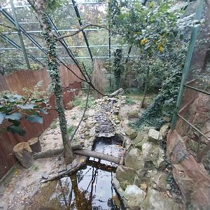 Siberian Pallas' Cat enclosure