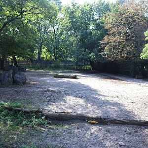 Chapman's zebra (Equus quagga chapmani) enclosure