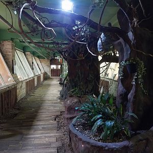 Monkey House interior