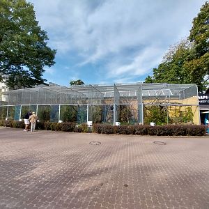 Monkey House - Callitrichidae