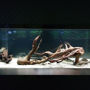 Aquarium