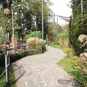 Pygmy Hippo House - Walk-though aviary